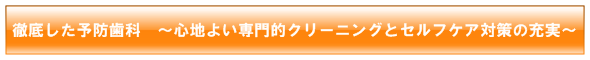 徹底した予防歯科　～心地よい専門的クリーニングとセルフケア対策の充実～